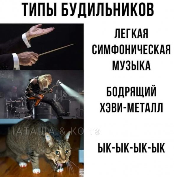 FB IMG 1777487573821