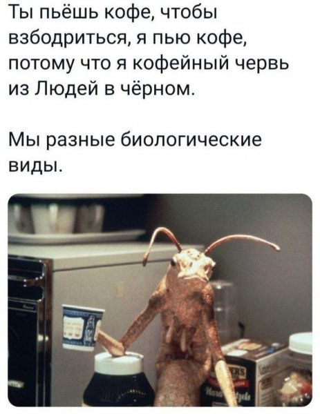 ЮМОР-humor (102)