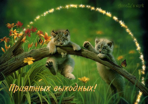 Анимированная открытка приятных выходных (1)