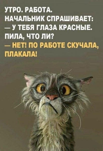 IMG 20201021 125437
