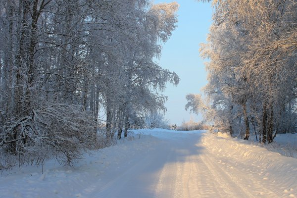 svetik