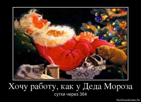 Хочу работу как у Деда Мороза...