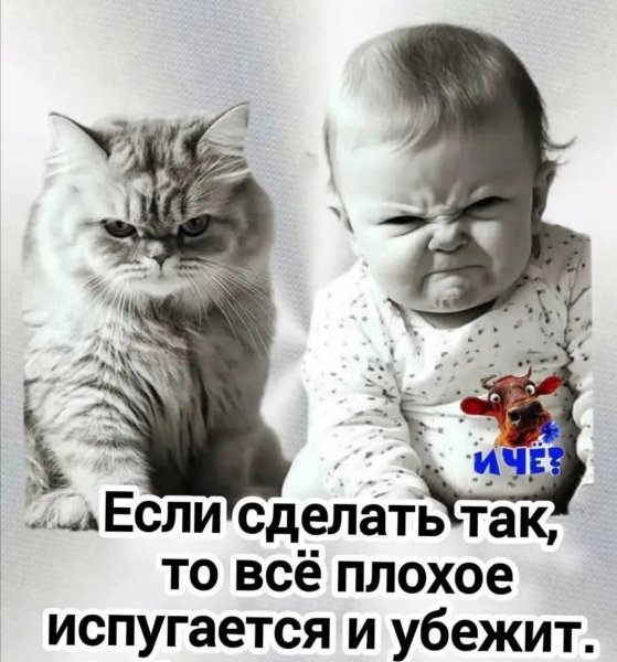 FB IMG 1777318481778