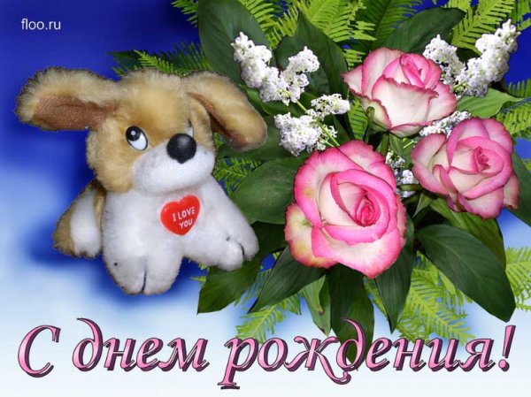 file_81297407