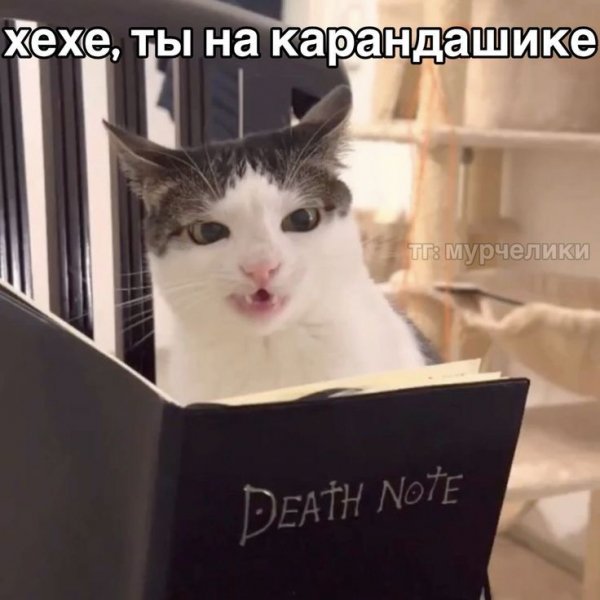 Хех может я и на карандашике,но