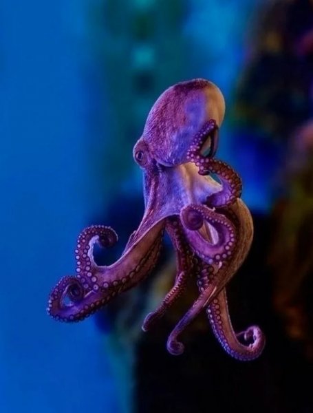 IMG-57338f14d81c97f11b13c0bba4d69539-V