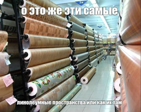 file_101546776