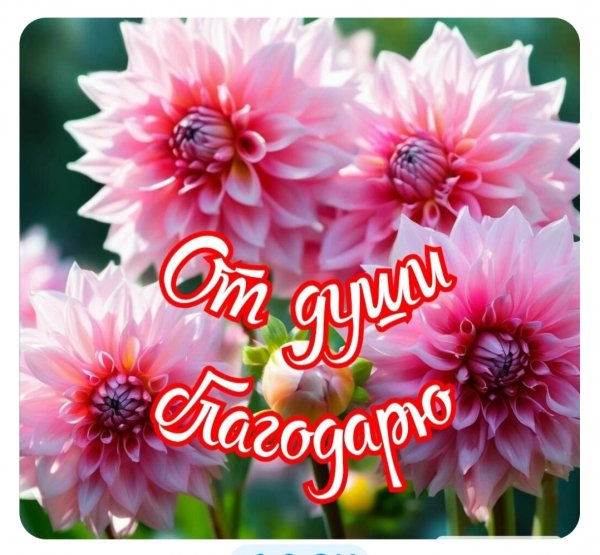 file_101123509