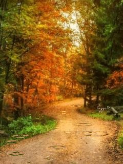 file_51544142