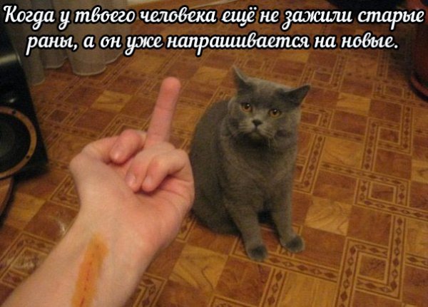 HjBJKoUOH4Q