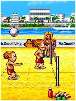 Playman Beach Volley 2D