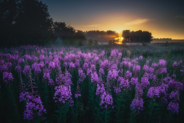Daniil-silantev-ural-priroda-peizazh-ozero-tuman-utro-rassve