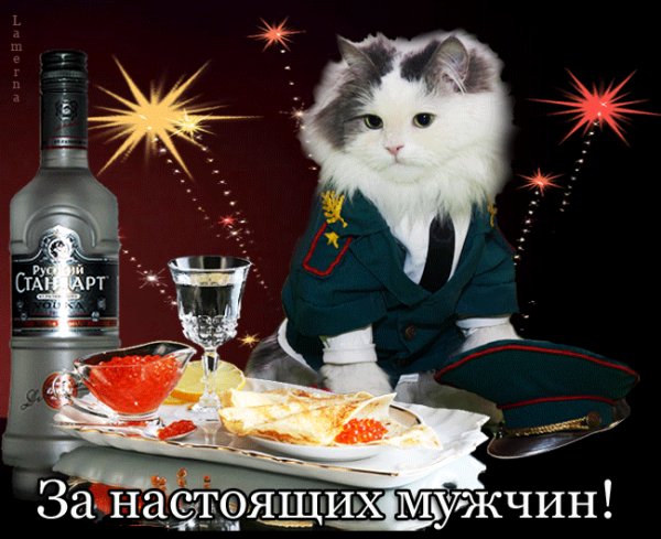 С 23 Февраля!