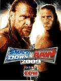 WWE SmackDown vs Raw 2009 se