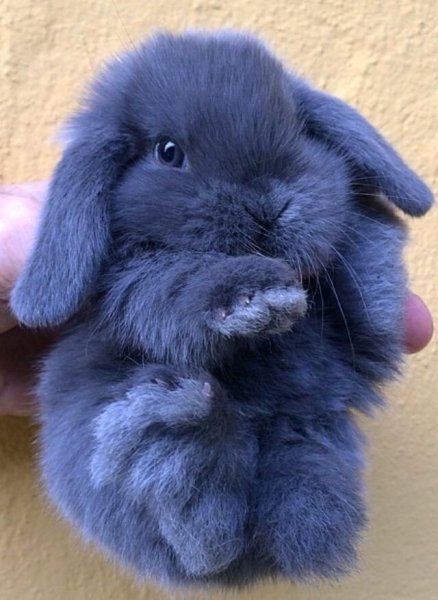 2b04d671a4ef1227c7b1b6401b6db356