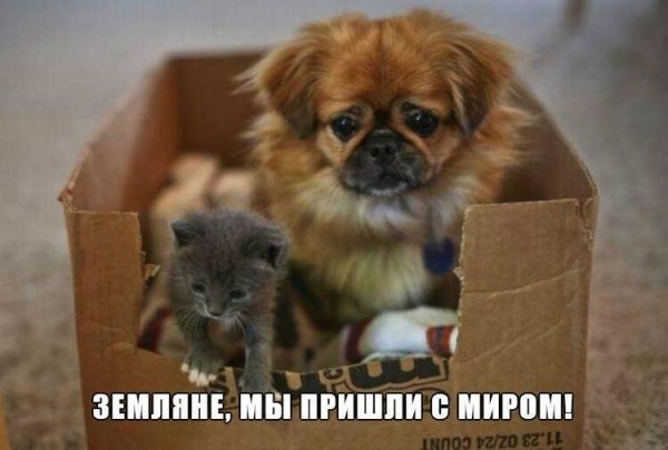 file_88785781