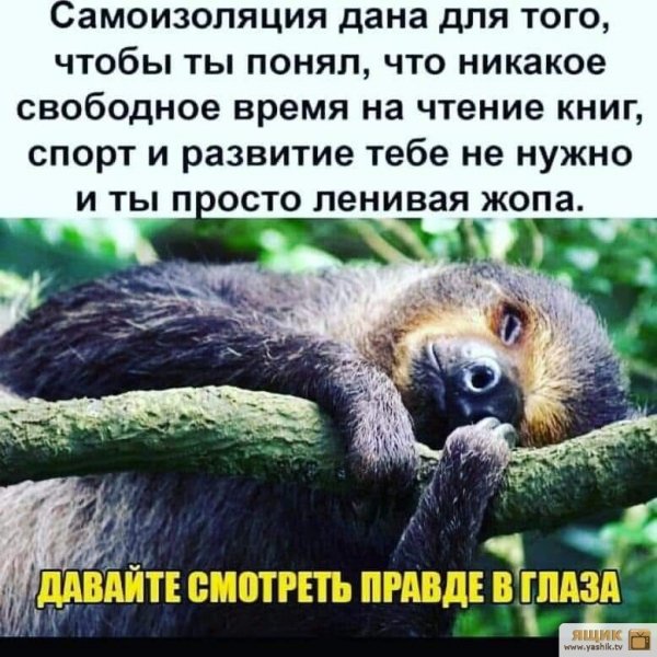 IMG 20200427 091837