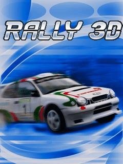 Rally 3D