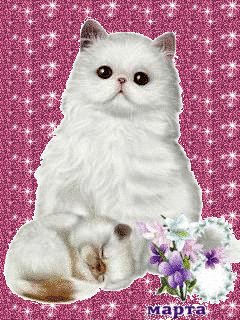 oie glitters