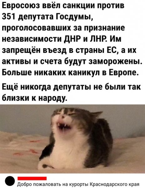 file_89818981