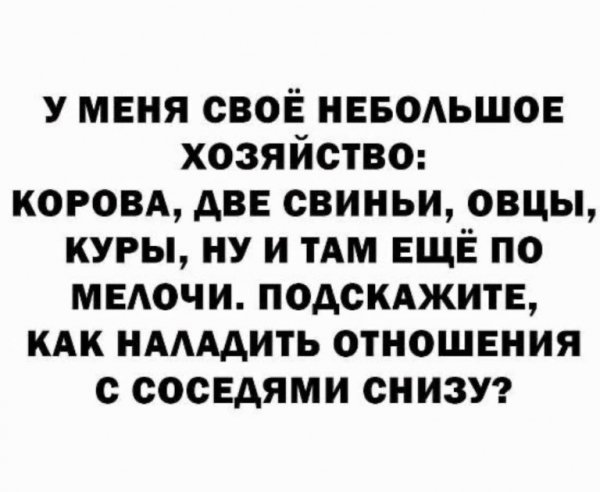 10-04-mixnews-img-3286-768x630