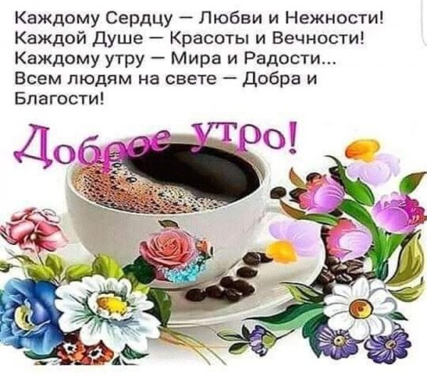 IMG 20190812 040418