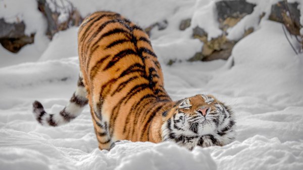 cropped-1920-1080-899729