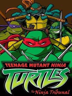 Teenage Mutant Ninja Turtles - The Ninja