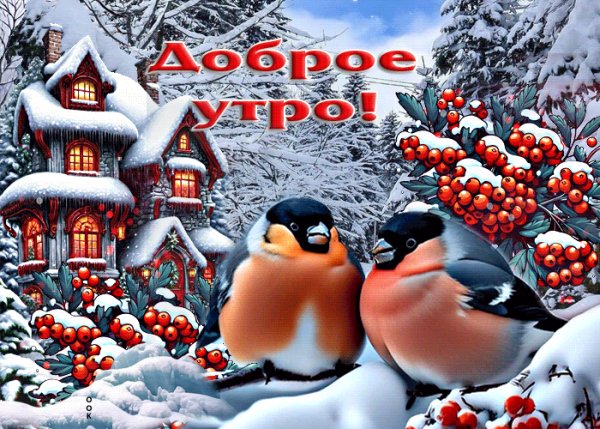 file_98889697