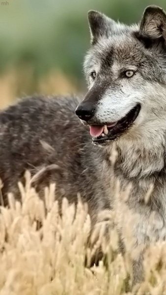 19af18707ed8b5139cb597d3b785ca34