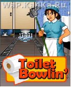 toiletbowlin