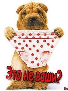 СЕРЕЖУ ХОЧУ