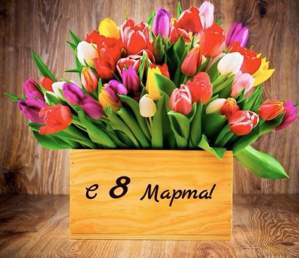 IMG-a6e825fbb9828ab1d801fe5ce0f29da1-V