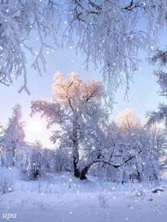 file_59239001