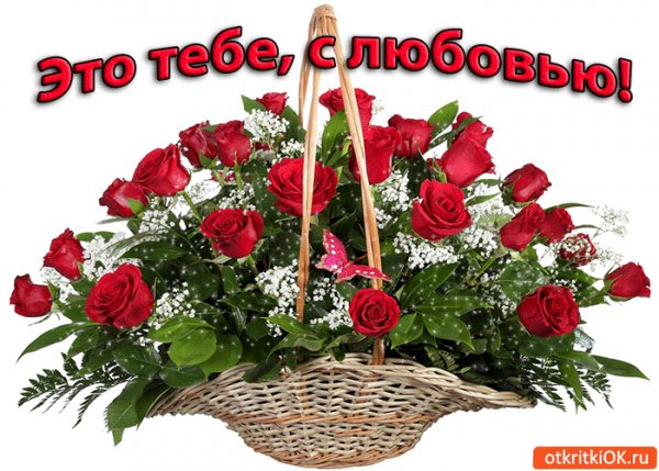 IMG 20180323 204510 4