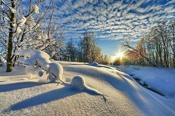 a4e2a0e28803756edc5a1e98