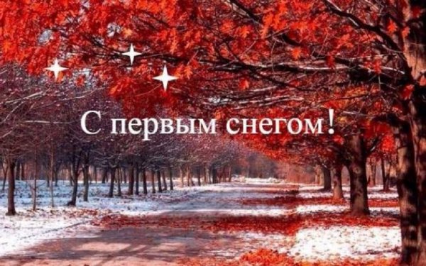 С первым снегом!