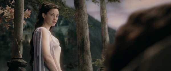 Властелин колец