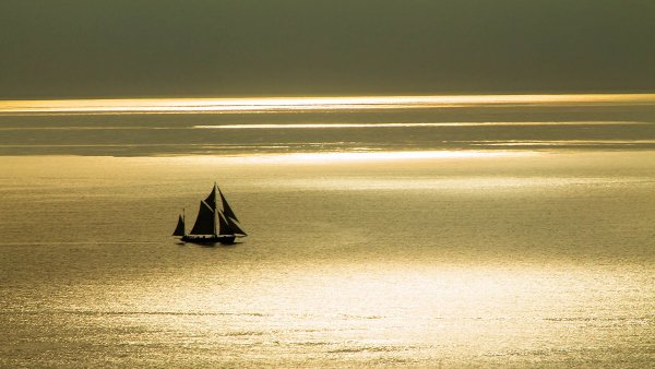 file_75390128