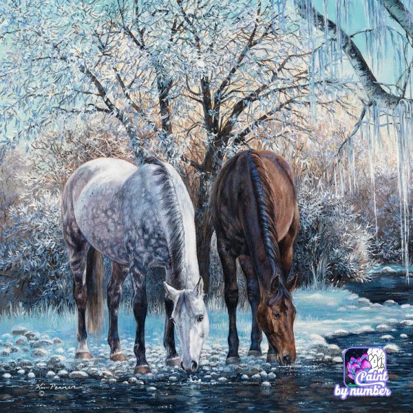 61efd1e980bf1b0001df8956