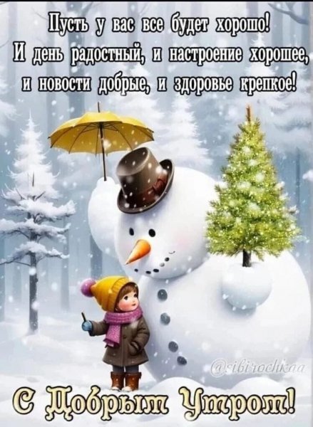 IMG-20260207-WA0004