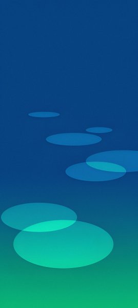 adapted 1080x2408 1778511328