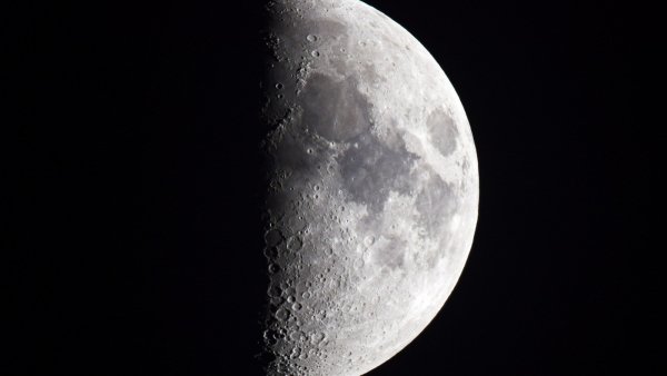 file_73608818
