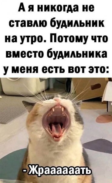 FB IMG 1741535908391