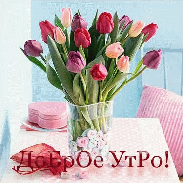 ДОБРОЕ УТРО