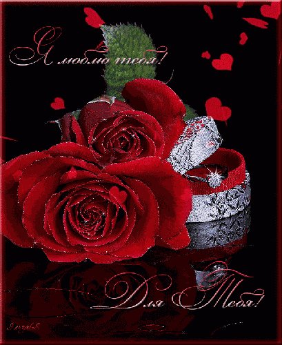 Я люблю тебя!