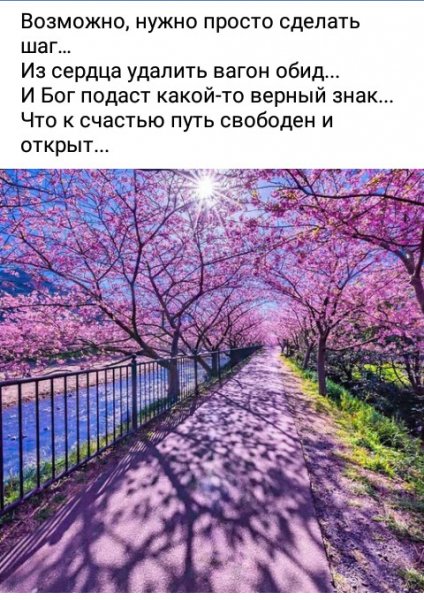 IMG 20241023 211032