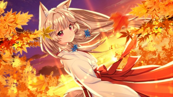 Fox-Hime-Zero-Foreign-VN-Визуальные-новеллы-фэндомы-4686532