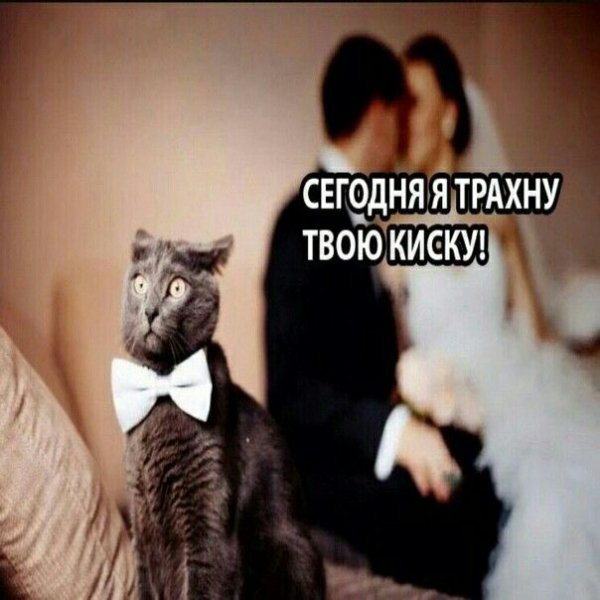 c7f8-13df-4c0e-a72e-20b9ecb5473a