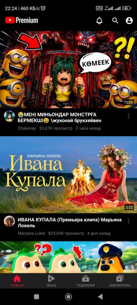 YouTube-5.6.80.321-TM.Mod